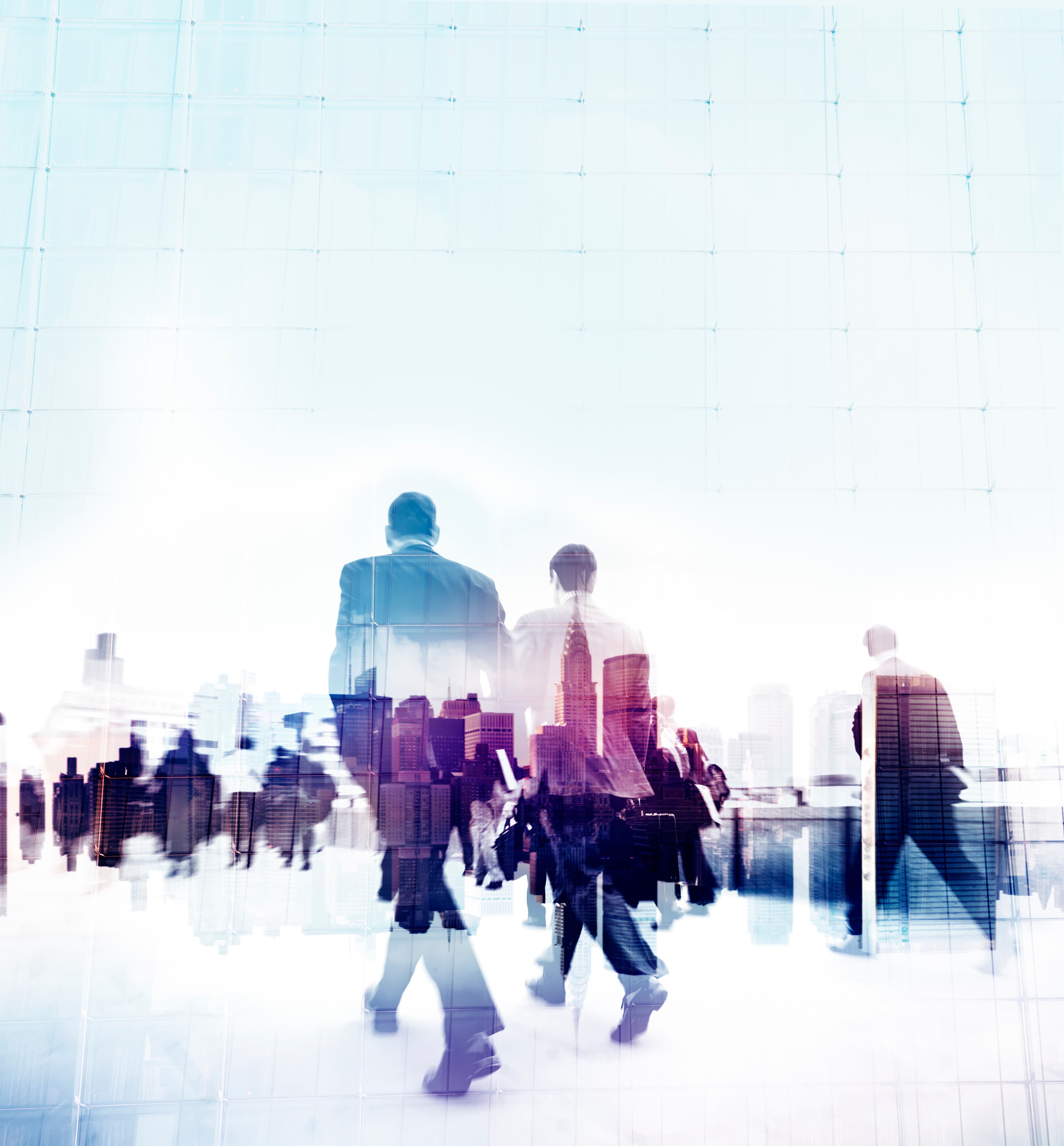 The platform that digitizes companies' purchasing processes has reached 10,000 suppliers.